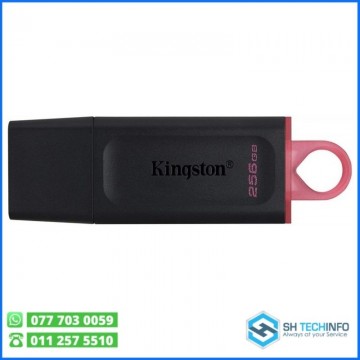 Kingston 256GB DTX USB 3.2 Pendrive